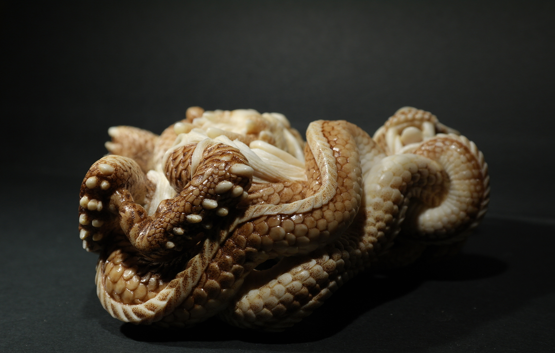 Two intertwined dragons10